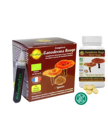 Complejo Ganoderma Rojo (con esporas) Astraphytos