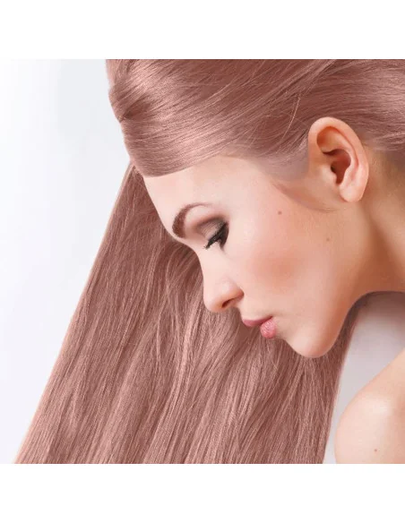 Rubio ceniza n°15 sanotint