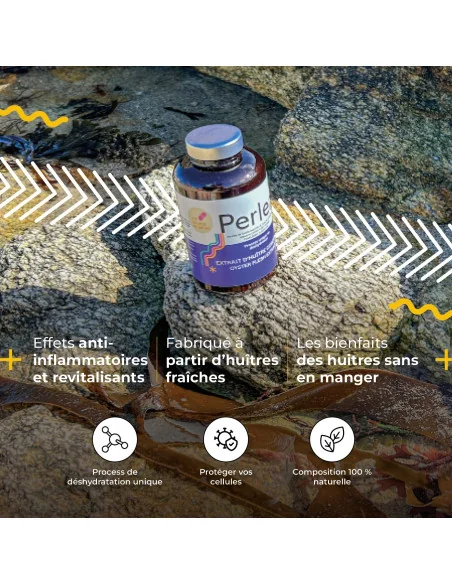 perlea poudre d huitre (coquille exclue)