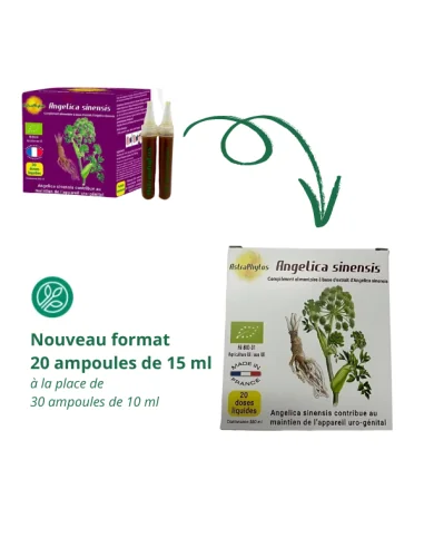 Angélique Chinese Astraphytos