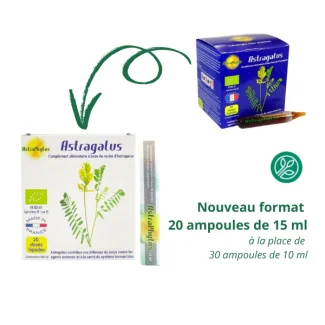 Astragalus bio 20 ampoules - Défenses naturelles Astraphytos (ex PhytoAura)