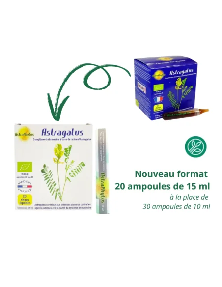 Astragalus bio 20 ampoules - Défenses naturelles Astraphytos (ex PhytoAura)