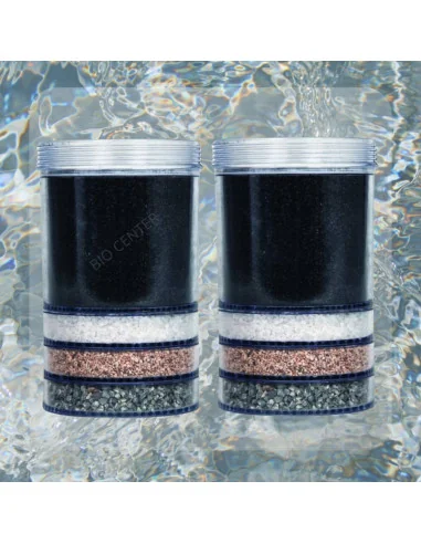 Cartouche de filtration ultimate Eva lot 2