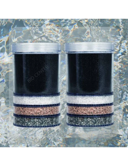 Cartouche de filtration ultimate Eva lot 2