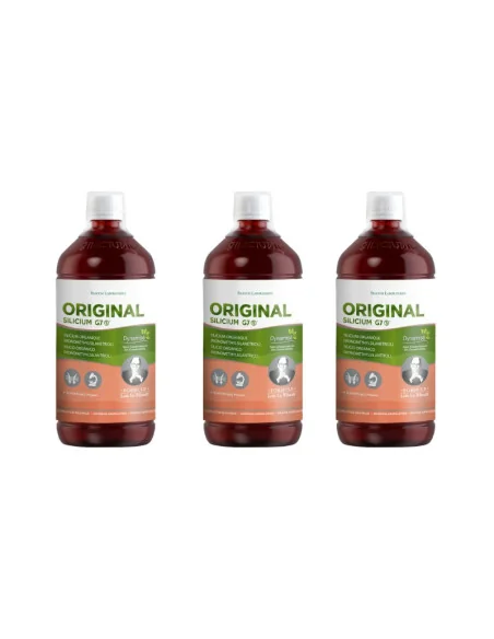 Silicium G7 Original (Anciennement G5) Loic Le Ribault