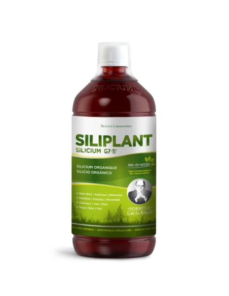 Silicium G7 Siliplant Loic Le Ribault