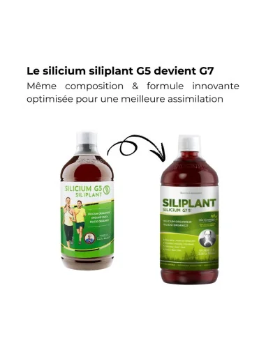 Silicon G7 Siliplant Loic Le RiBault antes G5