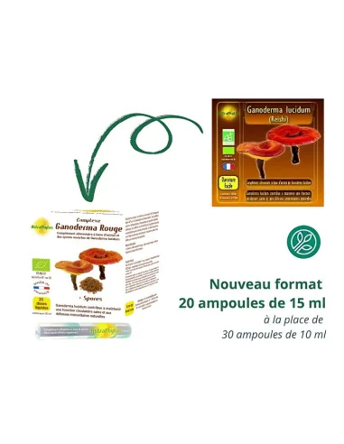 Complejo Red Ganoderma (con esporas) Bombilla de Astraphytos Nuevo formato