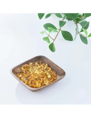 Cardiomer BIOTHALASSOL