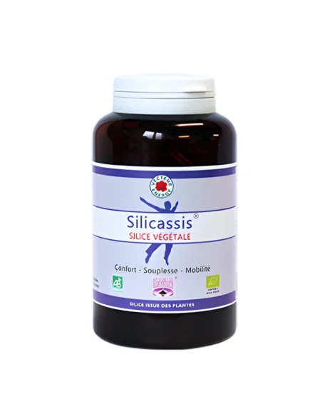 Silicassis 180 gélules VECTEUR ENERGY