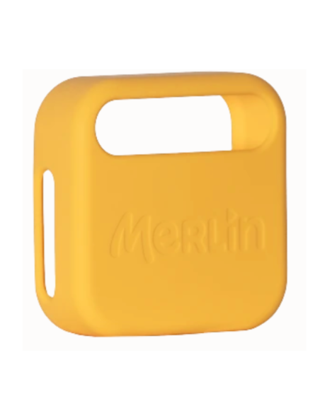 MERLIN Story Box