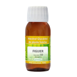 Higuera brote bio 1D Gemmoterapia Euro Santé Diffusion