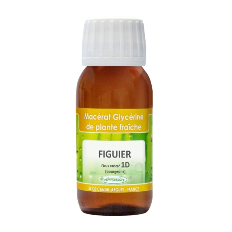 Figuier bio EURO SANTE DIFFUSION
