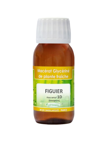 Higuera brote bio 1D Gemmoterapia Euro Santé Diffusion