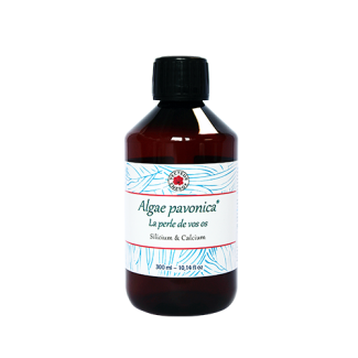 Algae padina pavonica 300 ml VECTEUR ENERGY