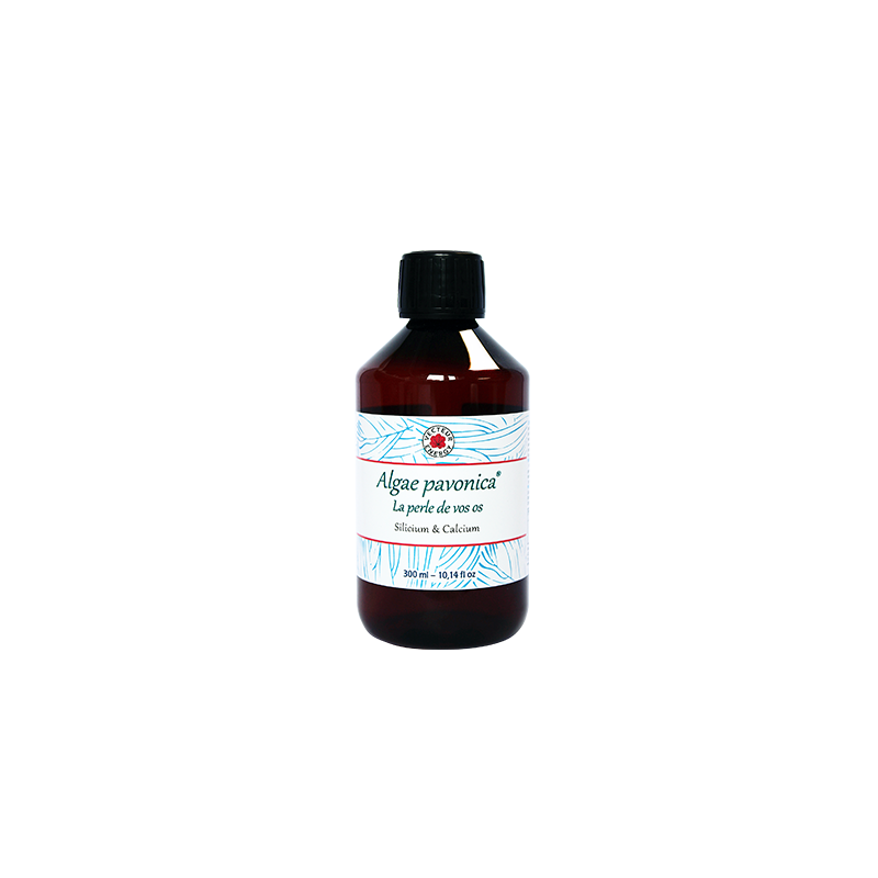 Algae padina pavonica 300 ml VECTEUR ENERGY