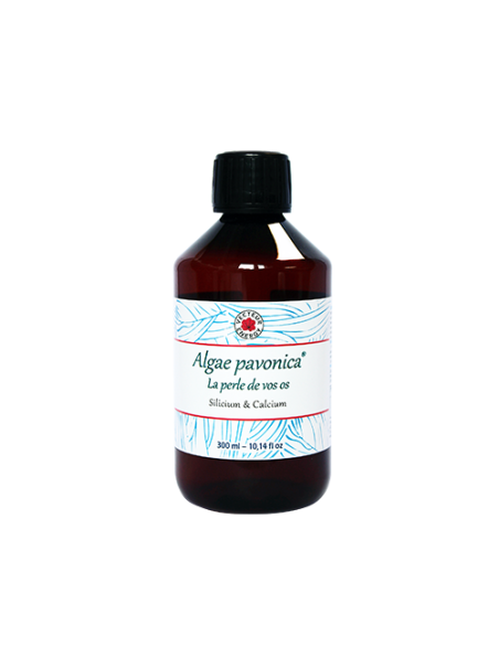 Algae padina pavonica 300 ml VECTEUR ENERGY