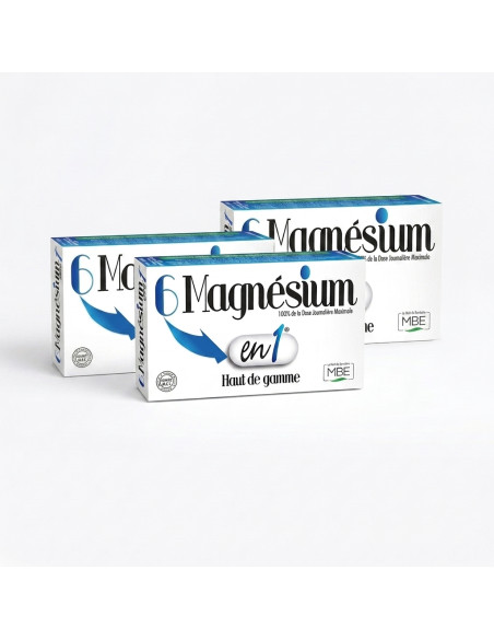 6 Magnesium en 1 MBE 60 comprimes six sels de magnesium