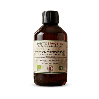 Synergies Phytospagyrie N°17 VECTEUR ENERGY