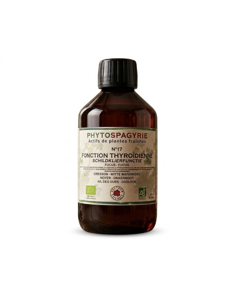 Synergies Phytospagyrie N°17 VECTEUR ENERGY