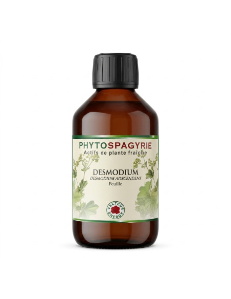 Phytospagyrie Desmodium 300ml VECTEUR ENERGY