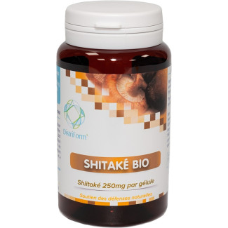 Shitaké bio DISTRIFORM