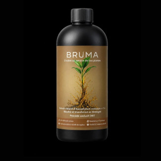 Extrait d'algues BRUMA