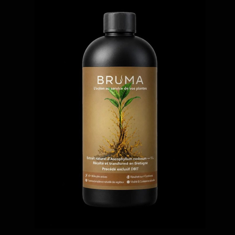 Extrait d'algues BRUMA