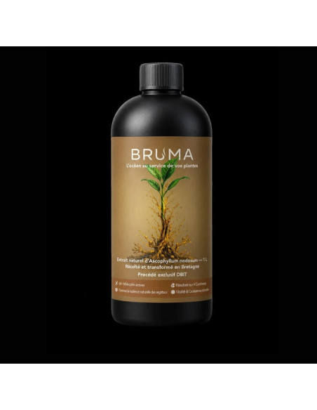 Extrait d'algues BRUMA