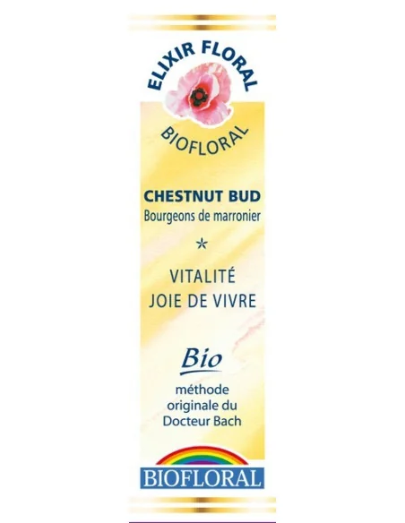 BIOFLORAL - CHESTNUT BUD FLEUR DE BACH BIO BIOFLORAL