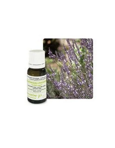 PRANAROM ACEITE ESENCIAL DE LAVANDA SÚPER ORGÁNICO - PRANAROM AROMATERAPIA ORGÁNICA