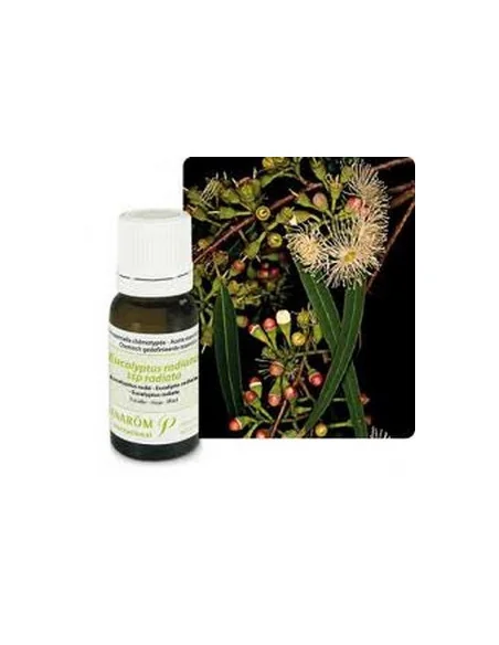 EUCALYPTUS RADIE BIO HUILE ESSENTIELLE PRANAROM - AROMATHERAPIE BIO PRANAROM