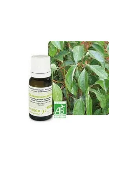 HUILE ESSENTIELLE BIO CANNELLE DE CHINE - PRANAROM - AROMATHERAPIE BIO PRANAROM