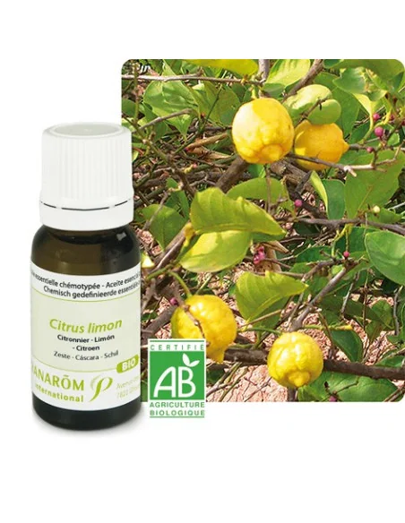 BIO HUILE ESSENTIELLE PRANAROM - AROMATHERAPIA BIO PRANAROM