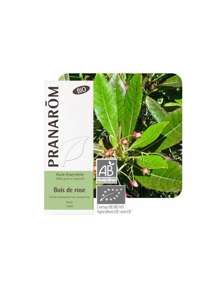 BOIS DE ROSE HUILE ESSENTIELLE PRANAROM - AROMATHERAPIE BIO
