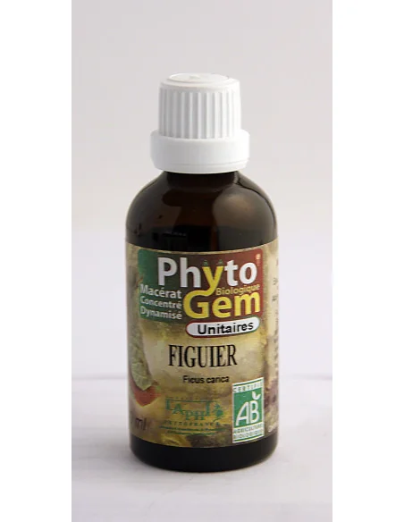 Figuier bio bud 250ml Gemmothérapie Phytofrance