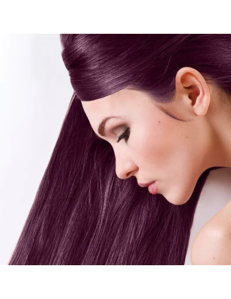 arándanos N°21 Sanotint Color natural