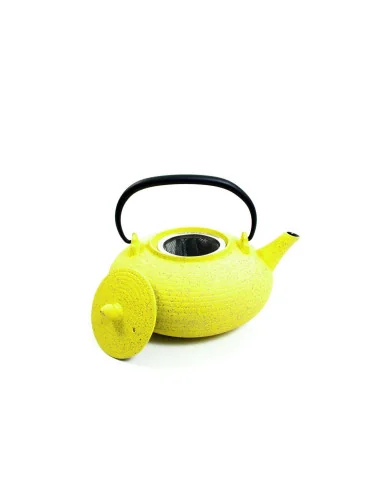 Théière en fonte Itome 0,70 L - Anis - Les Jardins de Gaïa