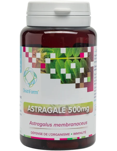 Astragale 500mg Système immunitaire - Distriform'
